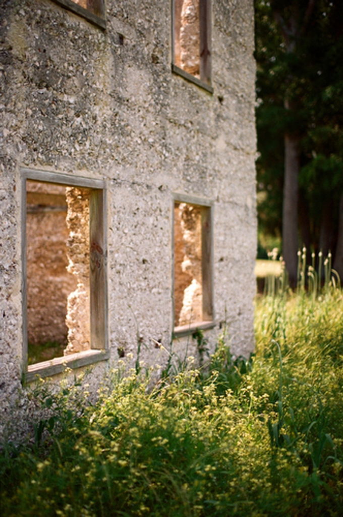 Image by Elisabeth Millay Photography at the Spring Island Tabby Ruins.