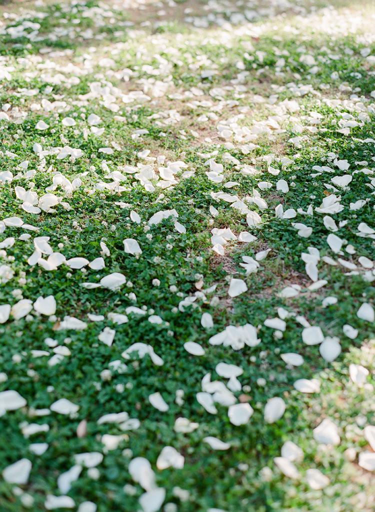 Have a blast. A path of white petals tossed in the grass marked the aisle in simple elegance.