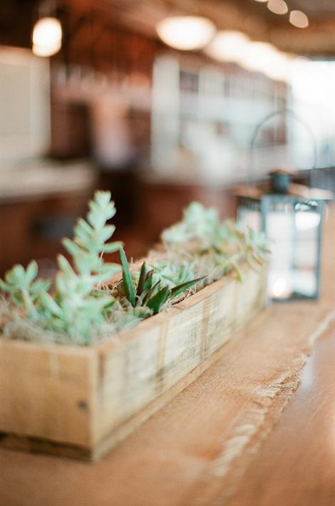 BOX SET: Succulents tucked into wooden window box centerpieces can accent your home long after the reception.
