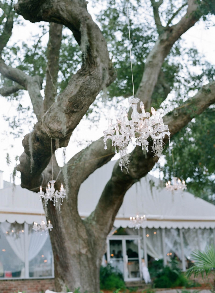 Lighting by Production Design Associates. Wedding and floral design by Tara Guérard Soirée. Photograph by Elizabeth Messina at Lowndes Grove Plantation.