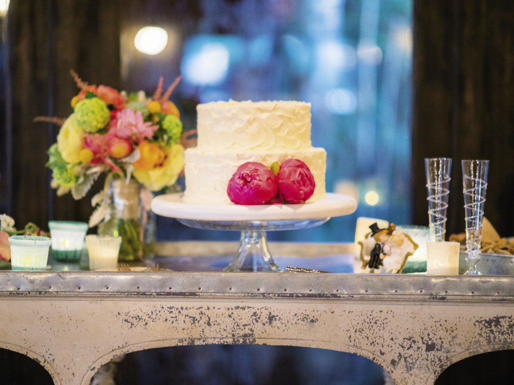 SWEET THING: Lauren Mitterer of WildFlour Pastry whipped up a vegan chocolate cake with  coconut icing for the couple. “It was gobbled up!” says Lindsay.