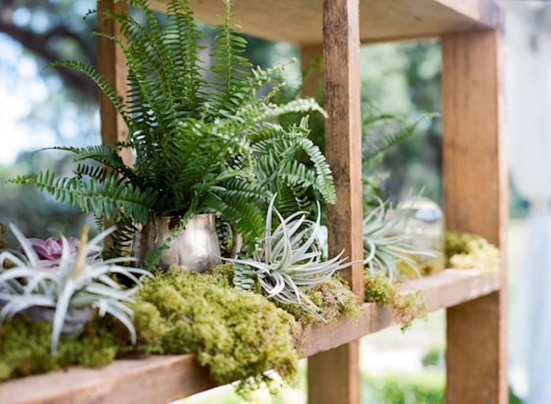 Succulents from Out of the Garden. Barback from Ooh! Events. Photograph by Marni Rothschild Pictures.