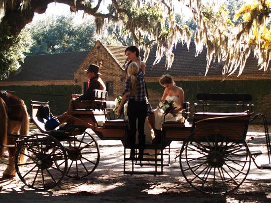 16)	Belgian draught horses pull wagons of visitors—and sometimes bridal parties—across the grounds at Middleton Place.