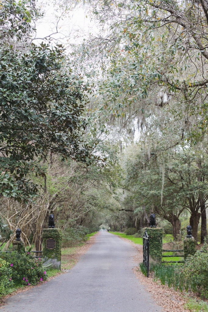 Image by Clay Austin Photography at Magnolia Plantation &amp; Gardens.