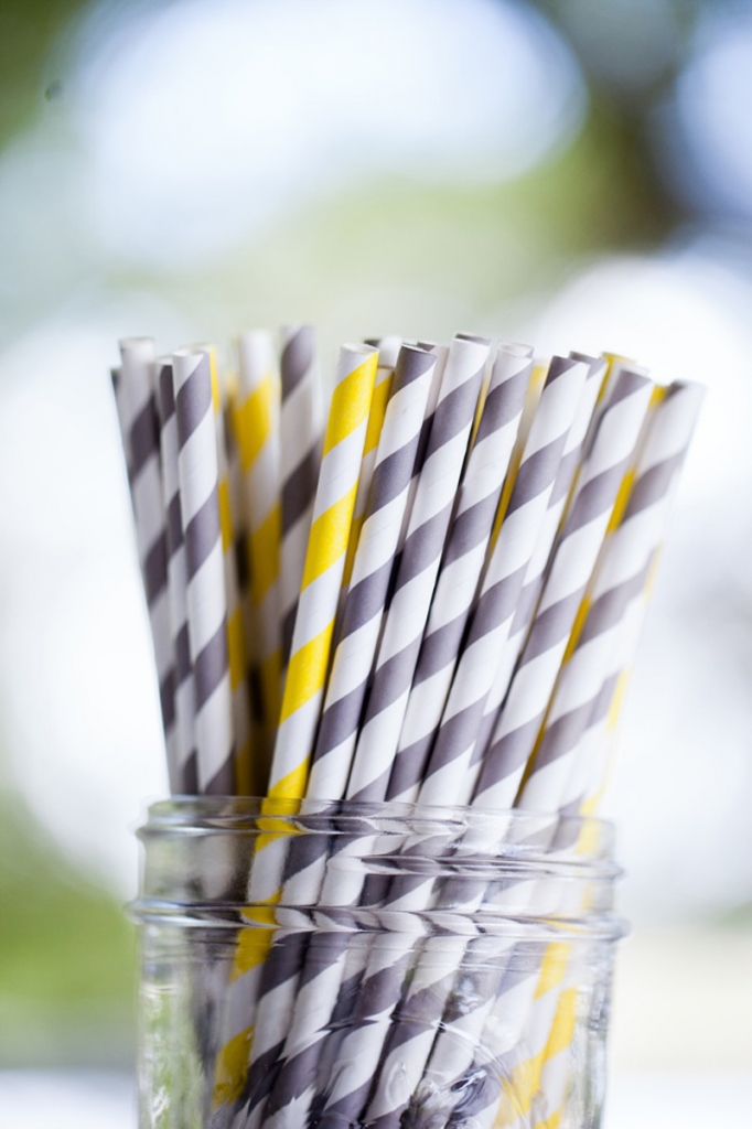 Paper straws from Etsy shop Cherished Blessings. Image by Hunter McRae Photography.