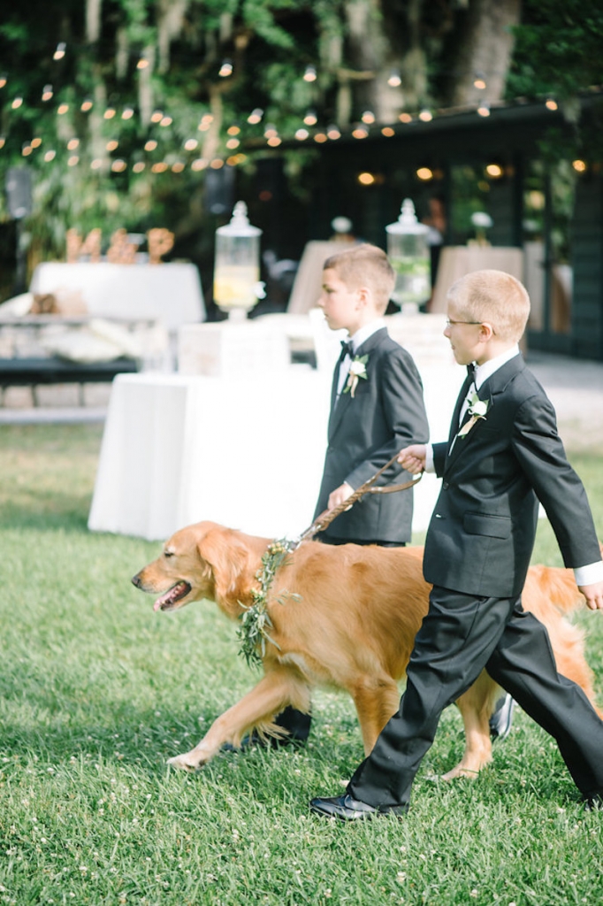 Image by Aaron &amp; Jillian Photography at Magnolia Plantation &amp; Gardens.