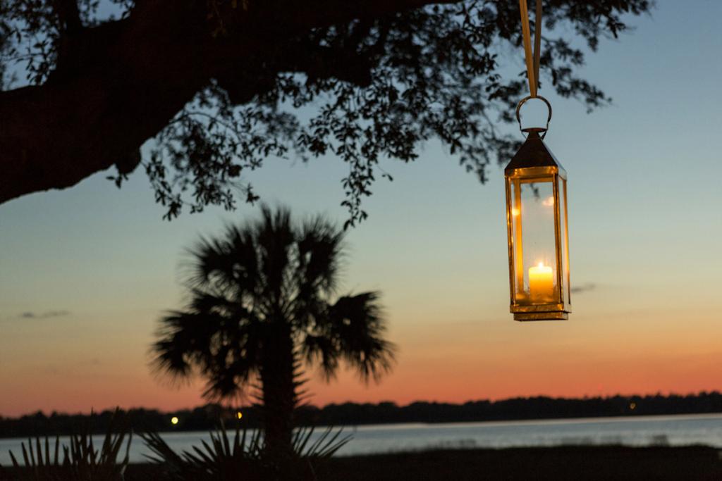 Photograph by Ellis Photo Studio at Lowndes Grove Plantation.