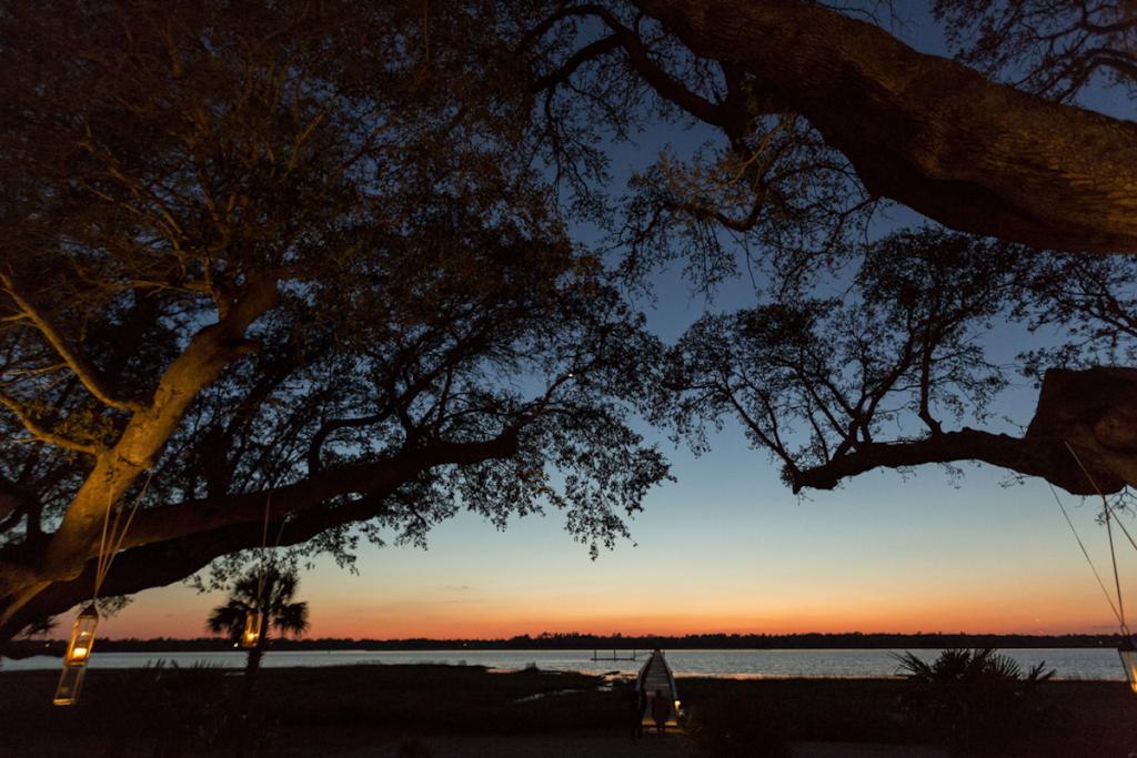 Photograph by Ellis Photo Studio at Lowndes Grove Plantation.