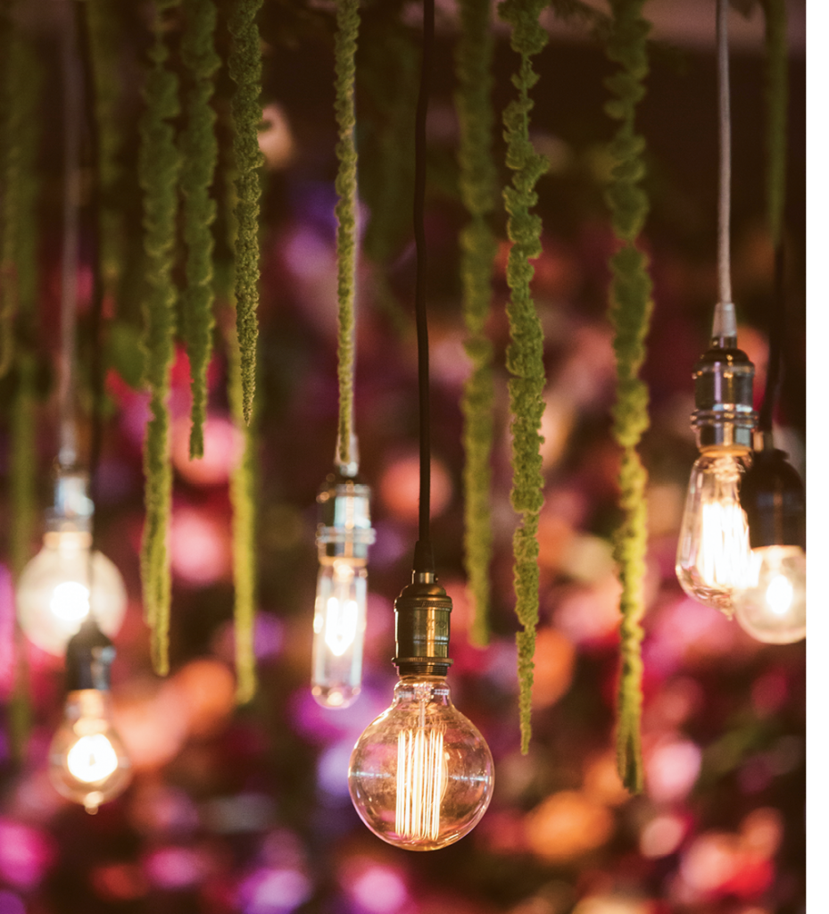 Inside the Pavilion, rows of naked Edison bulbs dangled from greenery, hanging amaranthus, and vintage roses.   &lt;i&gt;Amelia + Dan Photography&lt;/i&gt;