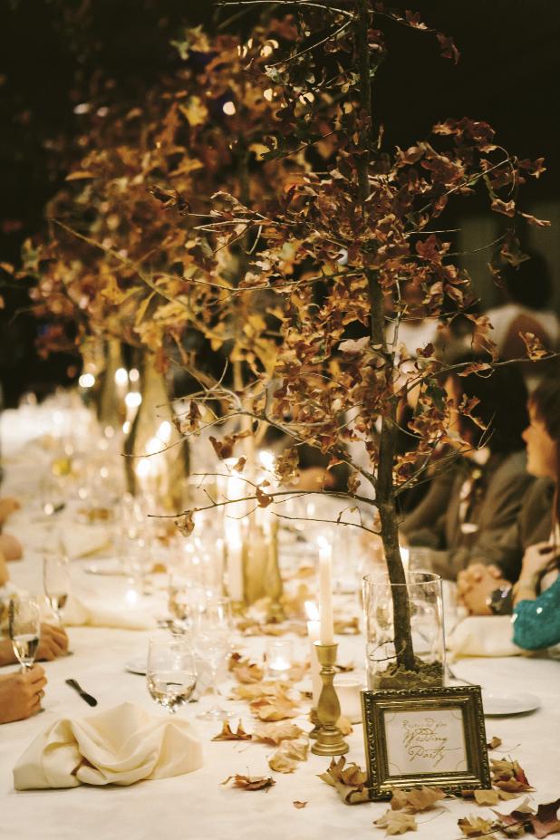 Wedding design, florals, and photograph by Mark Williams Studio.